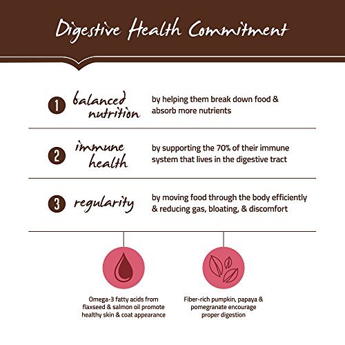 Grain-Free Dog Food: Salmon, Anchovy & Sardine Recipe for All Life Stages - Image 3
