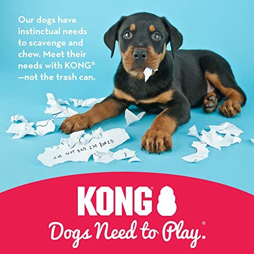 KONG Classic Dog Toy for Medium Dogs - Durable, Stuffable, Bouncy & Fun - Image 7