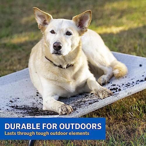 COOLAROO Elevated Cooling Dog Bed, Medium, Indoor/Outdoor, Aquatic Blue - Image 4