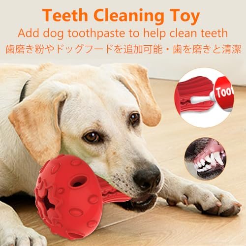 Durable Dog Chew Toy for Aggressive Chewers - Treat Dispenser & Teeth Cleaner - Image 4