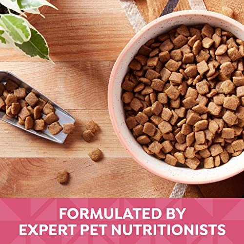 Grain-Free Salmon & Sweet Potato Dog Food, 4 lb – Healthy & Tasty Recipe - Image 7