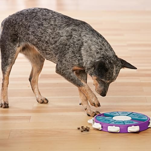 "Outward Hound Nina Ottosson Advanced Dog Puzzle Toy, Level 3, Purple" - Image 8
