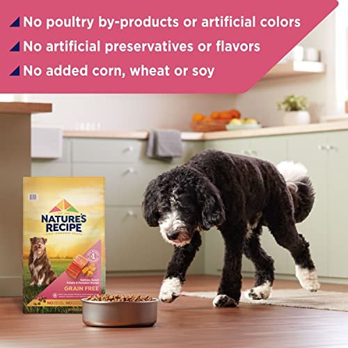 Grain-Free Salmon & Sweet Potato Dog Food, 4 lb – Healthy & Tasty Recipe - Image 6
