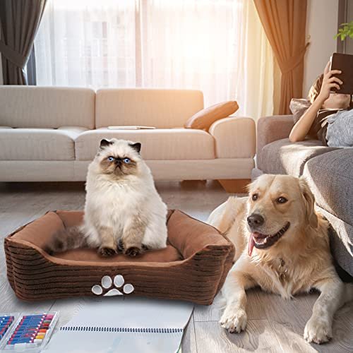 Cozy Reversible Dog Bed with Paw Print, Coffee, 25"x21" by Happycare - Image 2