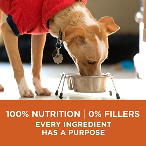 Purina ONE Healthy Weight High-Protein Dry Dog Food, 31.1 lb Bag - Image 7