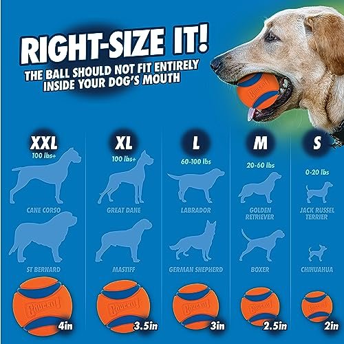 Chuckit Classic Dog Ball Launcher 26" with Medium 2.5" Ball for Active Dogs - Image 8