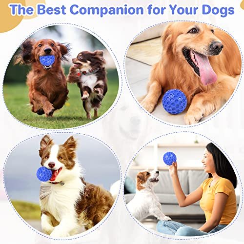 Indestructible Squeaky Dog Toy Ball – Tough, Teeth Cleaning, Large Breeds - Image 6