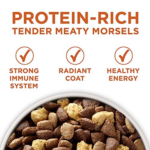 Purina ONE Healthy Weight High-Protein Dog Food, Dry Formula, 40 lb Bag - Image 3