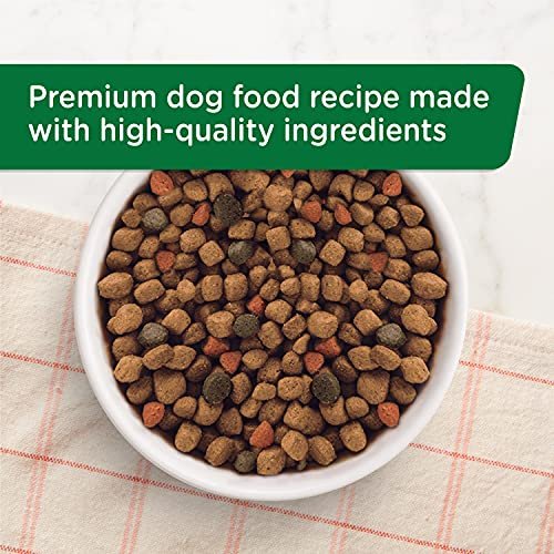 Rachael Ray Nutrish Natural Dry Dog Food, Chicken & Veggies, 40 lbs - Image 5