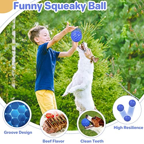 Indestructible Squeaky Dog Toy Ball – Tough, Teeth Cleaning, Large Breeds - Image 4