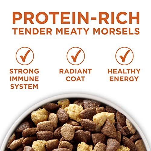 Purina ONE Healthy Weight High-Protein Dry Dog Food, 31.1 lb Bag - Image 2