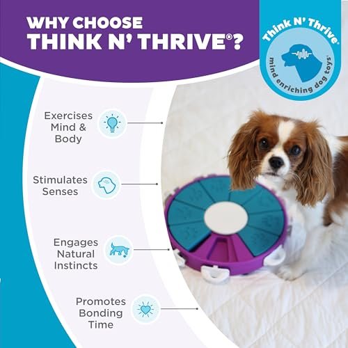 "Outward Hound Nina Ottosson Advanced Dog Puzzle Toy, Level 3, Purple" - Image 6