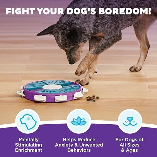 "Outward Hound Nina Ottosson Advanced Dog Puzzle Toy, Level 3, Purple" - Image 2