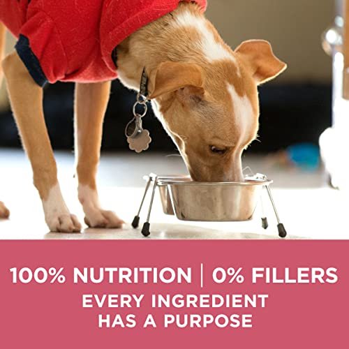 Purina ONE Sensitive Stomach Dog Food, Skin & Coat Support, 31.1 lb Bag - Image 7