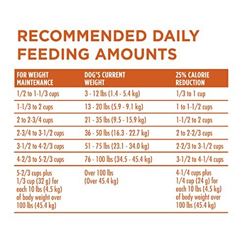 Purina ONE Healthy Weight High-Protein Dry Dog Food, 31.1 lb Bag - Image 8