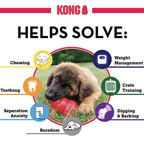 KONG Classic Dog Toy for Medium Dogs - Durable, Stuffable, Bouncy & Fun - Image 6