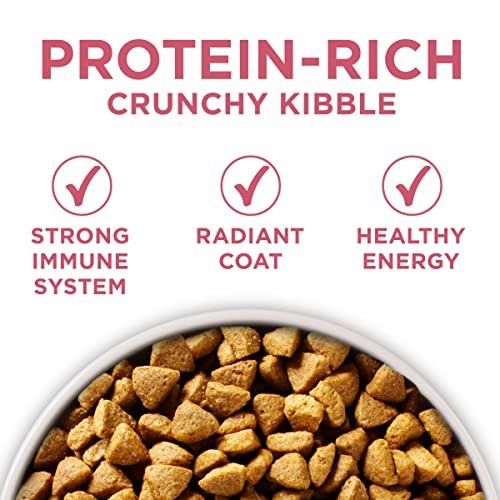 Purina ONE Sensitive Stomach Dog Food, Skin & Coat Support, 31.1 lb Bag - Image 2