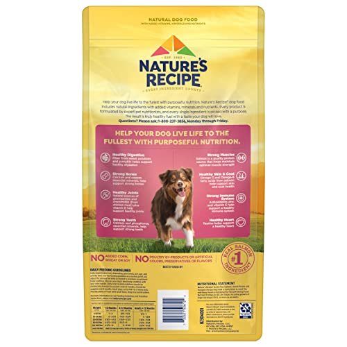Grain-Free Salmon & Sweet Potato Dog Food, 4 lb – Healthy & Tasty Recipe - Image 5