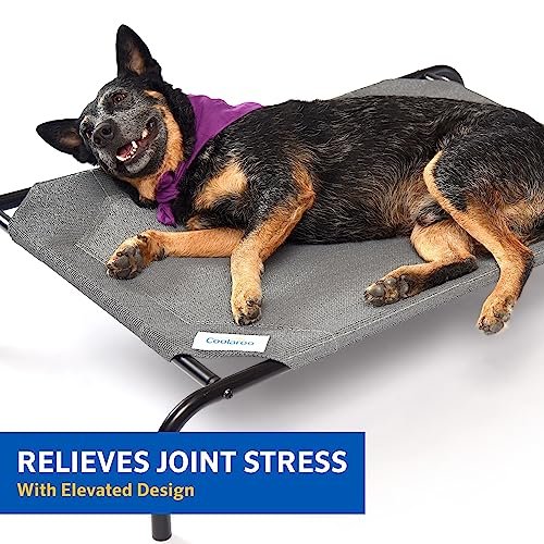COOLAROO Elevated Cooling Dog Bed, Medium, Indoor/Outdoor, Aquatic Blue - Image 3