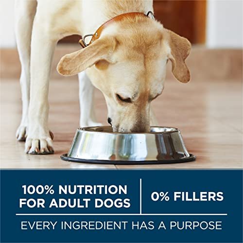 Purina ONE Large Breed Adult Dry Dog Food, 40 lb Bag - High Protein Formula - Image 7