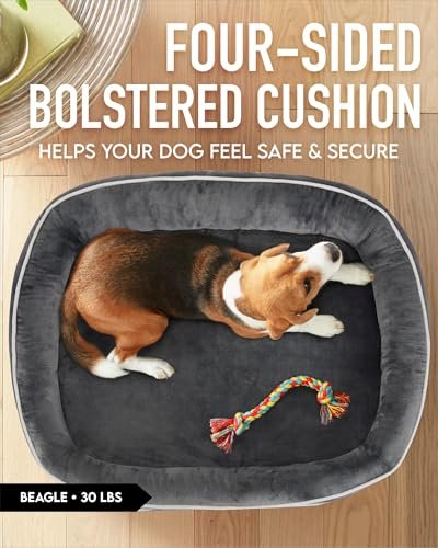 OhGeni Gray Orthopedic Dog Bed Large Dogs, Egg Foam, Washable Bolster - Image 3