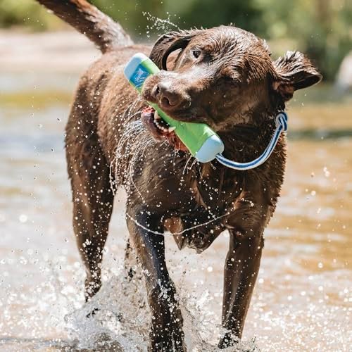 Durable Chuckit Amphibious Dog Fetch Toy - Floats on Water, Medium Size - Image 6