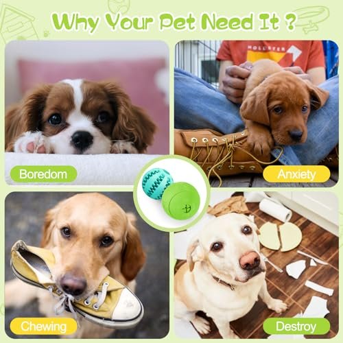 Interactive Dog Puzzle Toys 2-Pack - Treat Dispenser & Slow Feeder, Durable - Image 3