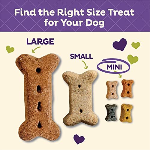 Old Mother Hubbard Veggie Dog Treats, Mini Crunchy Biscuits, 20oz - Image 5