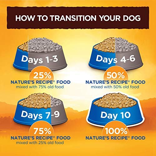 Grain-Free Salmon & Sweet Potato Dog Food, 4 lb – Healthy & Tasty Recipe - Image 11