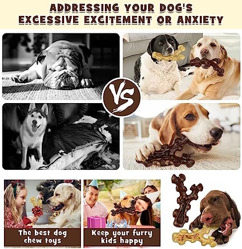 Durable Dog Chew Toys 2-Pack for Aggressive Chewers, Teeth Cleaning & Training - Image 7