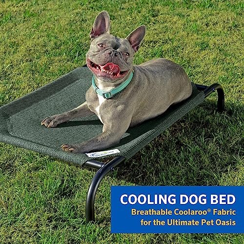 COOLAROO Elevated Cooling Dog Bed, Medium, Indoor/Outdoor, Aquatic Blue - Image 2