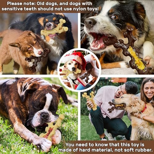 Durable Dog Chew Toys 2-Pack for Aggressive Chewers, Teeth Cleaning & Training - Image 4