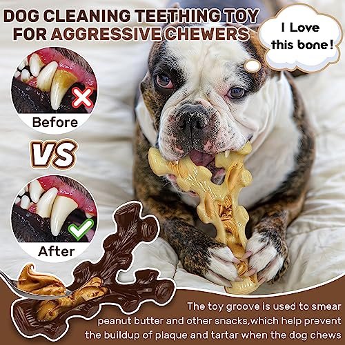 Durable Dog Chew Toys 2-Pack for Aggressive Chewers, Teeth Cleaning & Training - Image 5