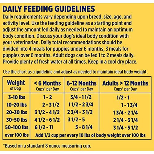 Grain-Free Salmon & Sweet Potato Dog Food, 4 lb – Healthy & Tasty Recipe - Image 10
