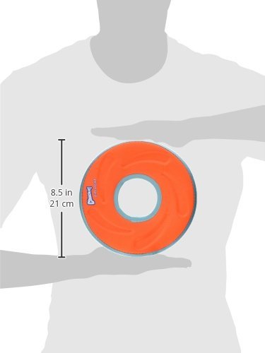 Chuckit Zipflight Dog Flying Disc, Medium 8.5" - Durable, Lightweight Toy - Image 3
