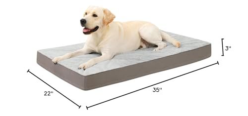 Orthopedic Dog Bed with Washable Plush Cover, Egg Crate Foam, 35x22, Gray - Image 7