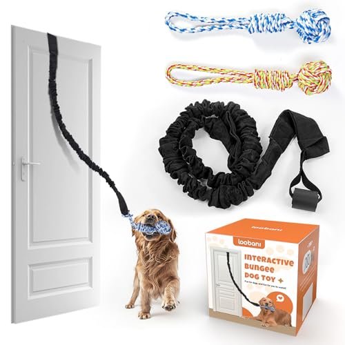 LOOBANI Dog Rope Toy Tug of War Dog Toy, Indoor Outdoor Use Bungee Tether Tug Toy, for Small Medium Large Dogs Interactive Dog Toy Tree Chew Training