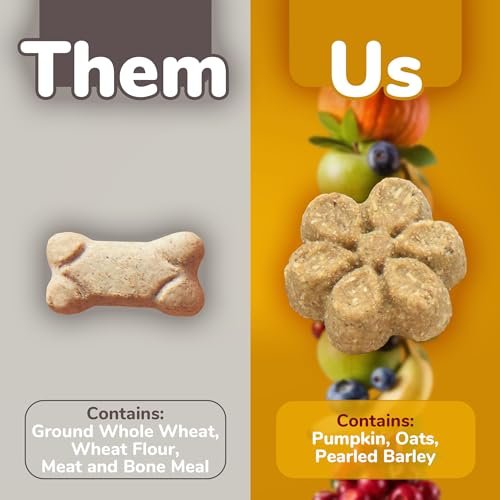 Fruitables Crunchy Pumpkin & Banana Dog Treats, Healthy & Low-Calorie, 7 oz - Image 4