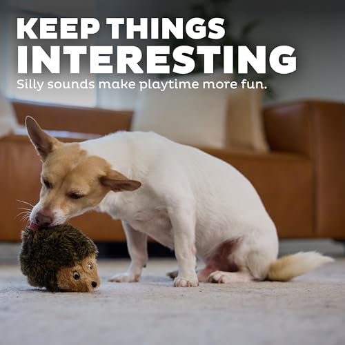 Small Plush Hedgehog Dog Toy - Squeaky, Soft, Durable, Perfect for Play - Image 4