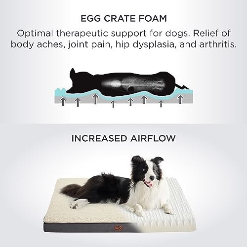 Extra Large Orthopedic Dog Bed with Washable Cover & Foam Support - Image 4
