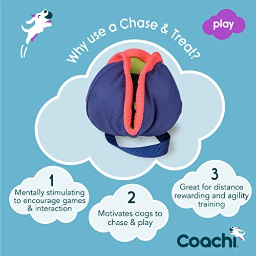 Interactive Dog Treat Toy for Training, Agility & Puppy Enrichment Play - Image 2