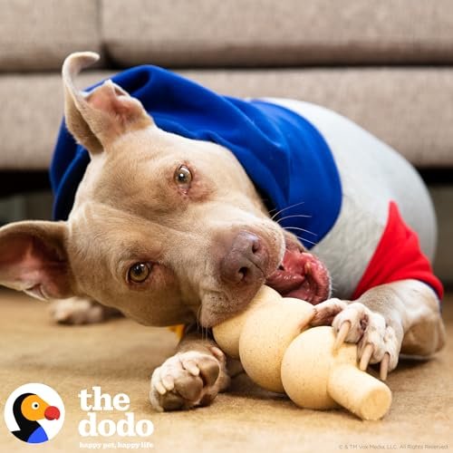 Eco-Friendly Peanut Butter Dog Chew Toy - Durable, Bamboo, Easy to Grip - Image 2
