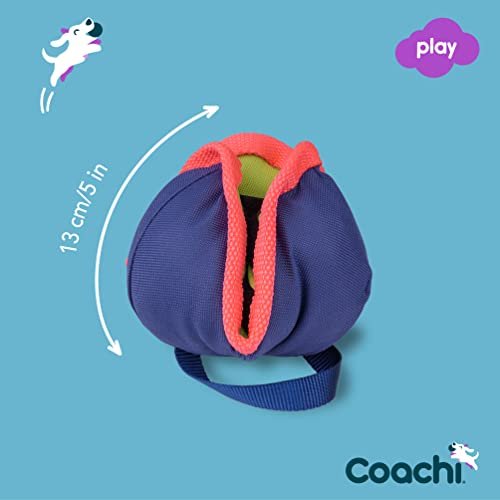 Interactive Dog Treat Toy for Training, Agility & Puppy Enrichment Play - Image 4