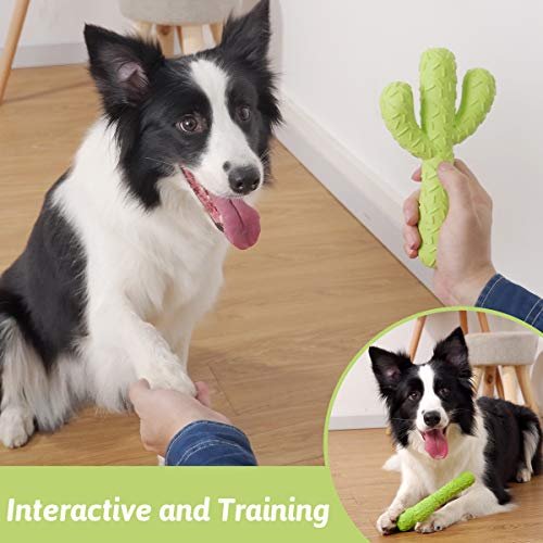 Durable Cactus Dog Chew Toy - Tough Rubber for Aggressive Chewers - Image 4