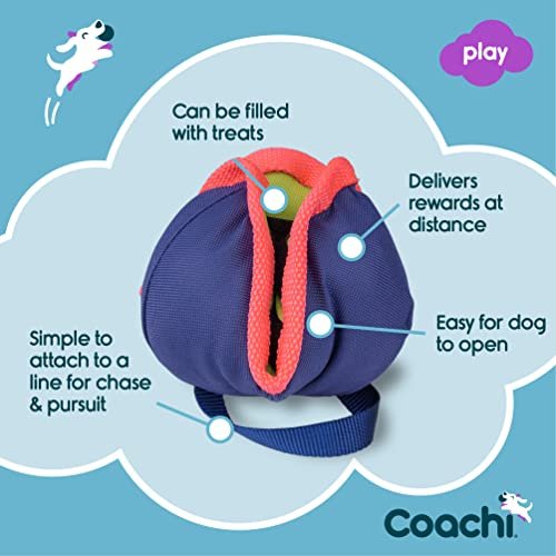 Interactive Dog Treat Toy for Training, Agility & Puppy Enrichment Play - Image 3