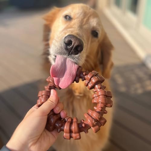 Durable Nylabone Power Chew Ring Toy for Aggressive Chewers, XL Flavor Medley - Image 7