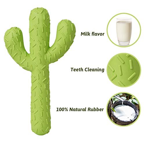 Durable Cactus Dog Chew Toy - Tough Rubber for Aggressive Chewers - Image 3