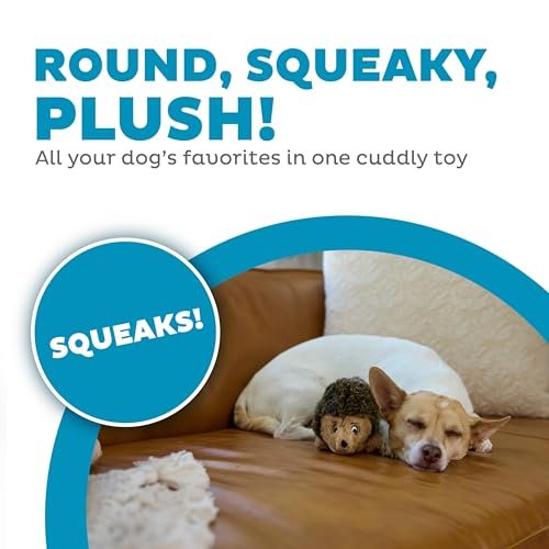 Small Plush Hedgehog Dog Toy - Squeaky, Soft, Durable, Perfect for Play - Image 2