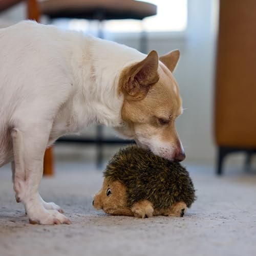 Small Plush Hedgehog Dog Toy - Squeaky, Soft, Durable, Perfect for Play - Image 5