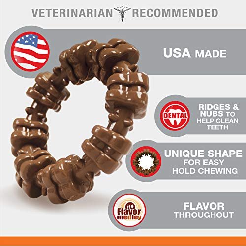 Durable Nylabone Power Chew Ring Toy for Aggressive Chewers, XL Flavor Medley - Image 3